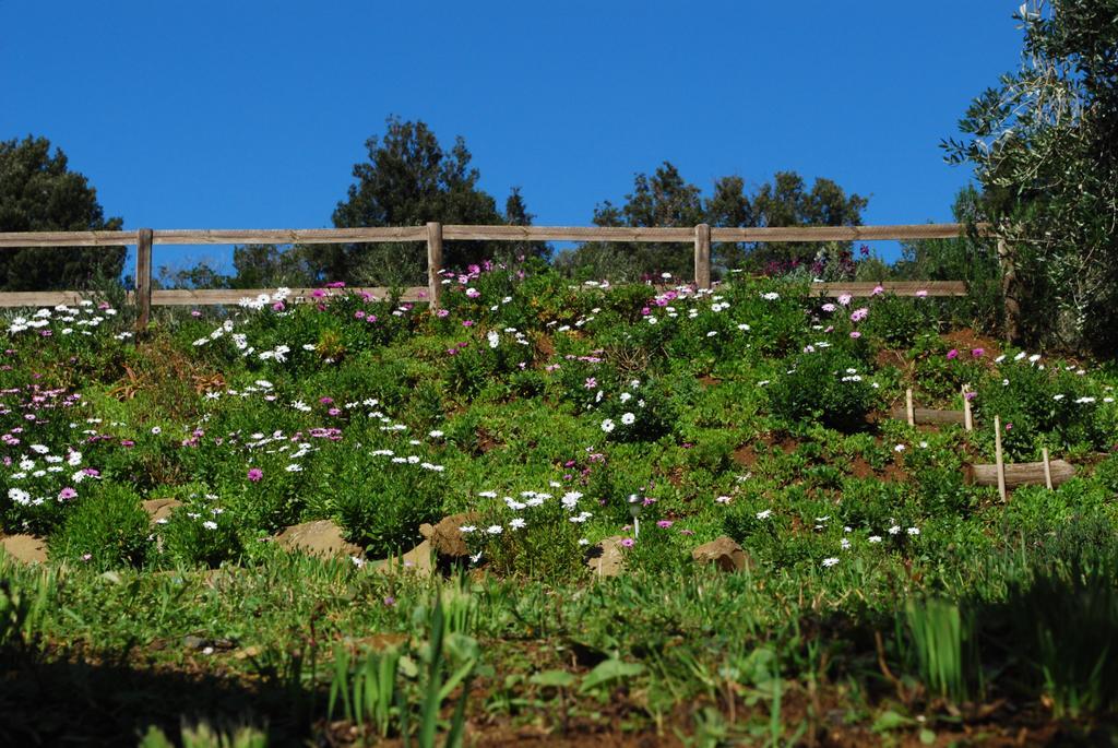 Agriturismo Val Di Nappo Castiglione della Pescaia Zewnętrze zdjęcie