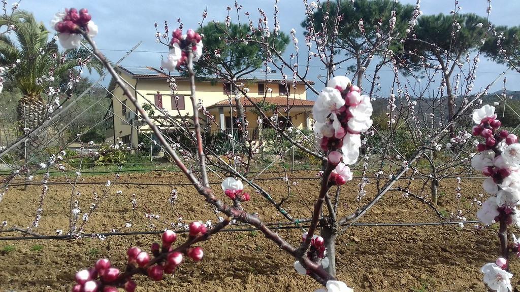 Agriturismo Val Di Nappo Castiglione della Pescaia Zewnętrze zdjęcie